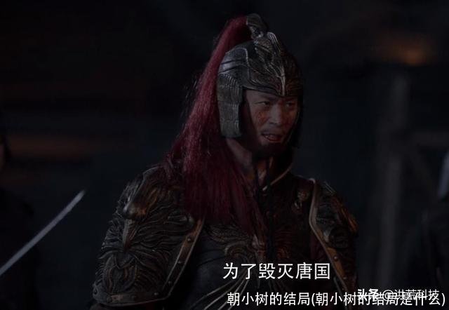 朝小树的结局(朝小树的结局是什么)