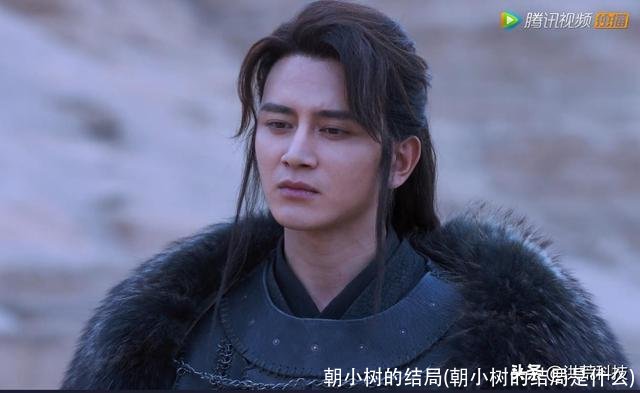 朝小树的结局(朝小树的结局是什么)