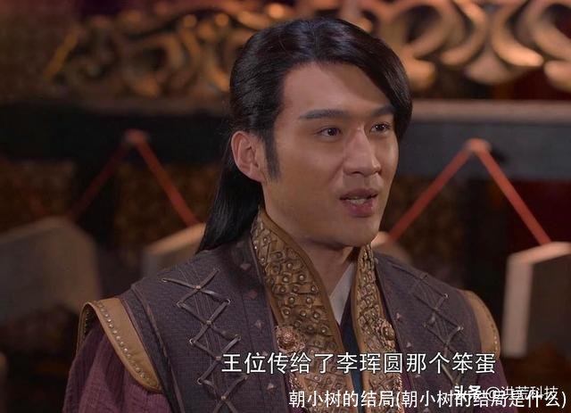 朝小树的结局(朝小树的结局是什么)