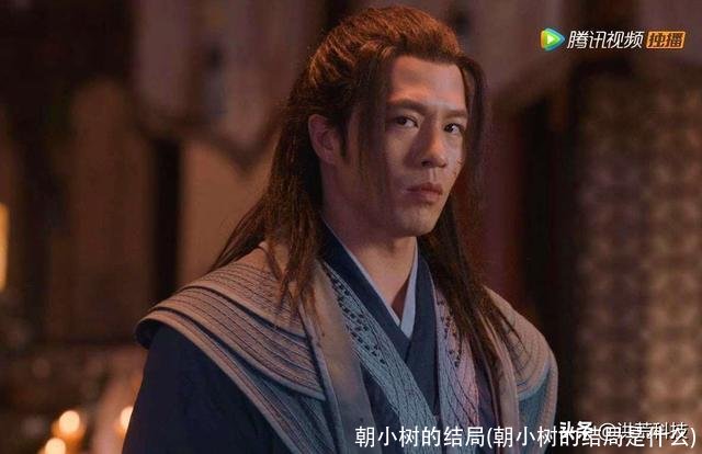 朝小树的结局(朝小树的结局是什么)