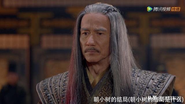 朝小树的结局(朝小树的结局是什么)