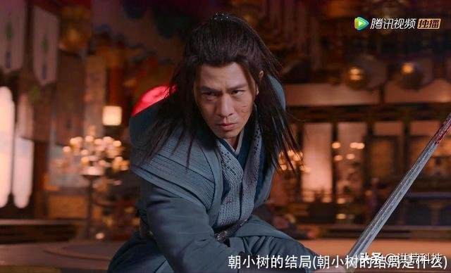 朝小树的结局(朝小树的结局是什么)