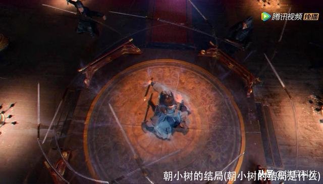 朝小树的结局(朝小树的结局是什么)