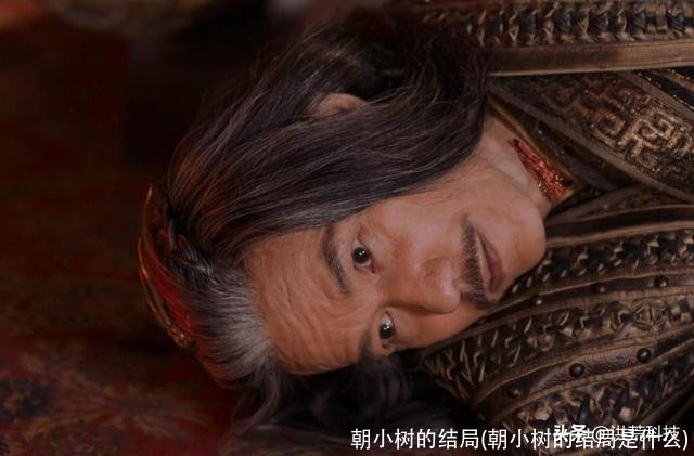 朝小树的结局(朝小树的结局是什么)