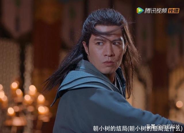 朝小树的结局(朝小树的结局是什么)