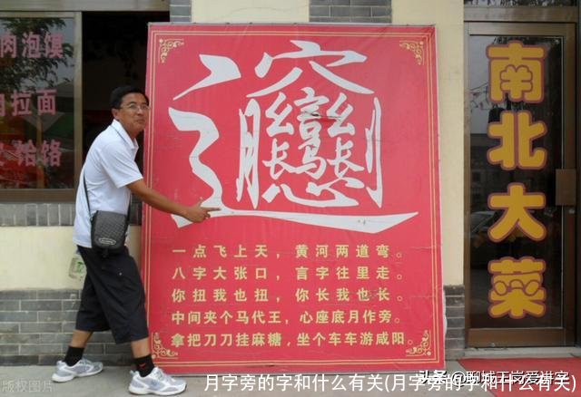 月字旁的字和什么有关(月字旁的字和什么有关)