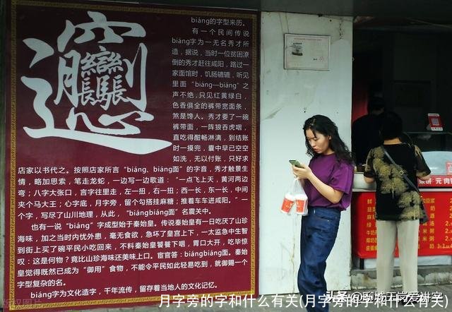 月字旁的字和什么有关(月字旁的字和什么有关)