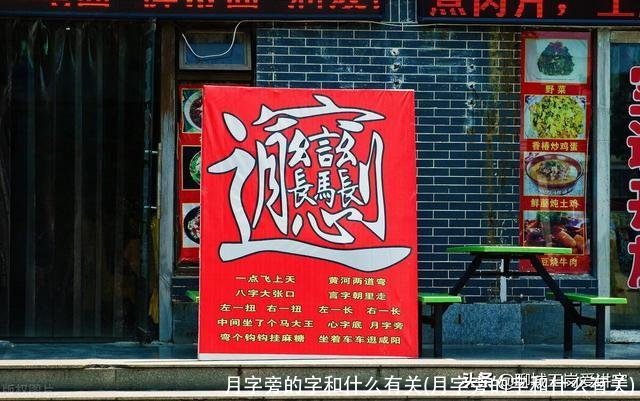 月字旁的字和什么有关(月字旁的字和什么有关)