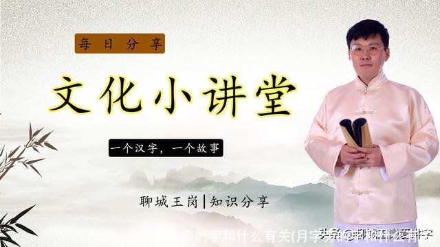 月字旁的字和什么有关(月字旁的字和什么有关)