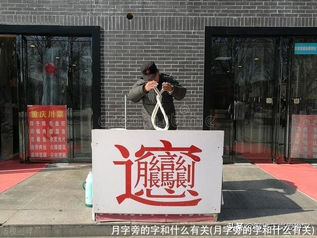 月字旁的字和什么有关(月字旁的字和什么有关)