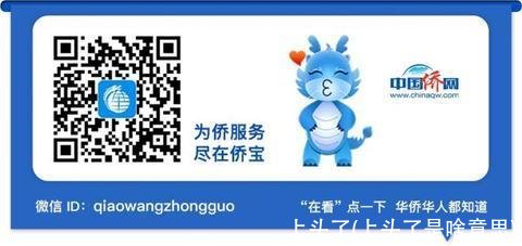 上头了(上头了是啥意思)