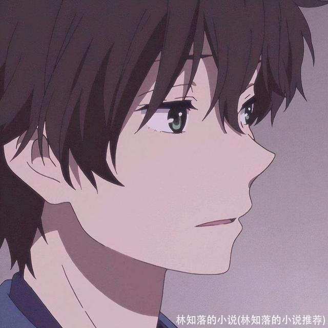 林知落的小说(林知落的小说推荐)