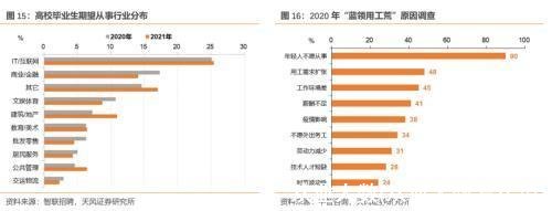 从业人数(从业人数怎么填)