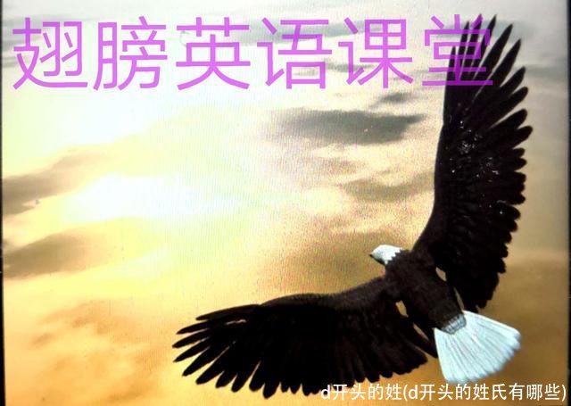 d开头的姓(d开头的姓氏有哪些)