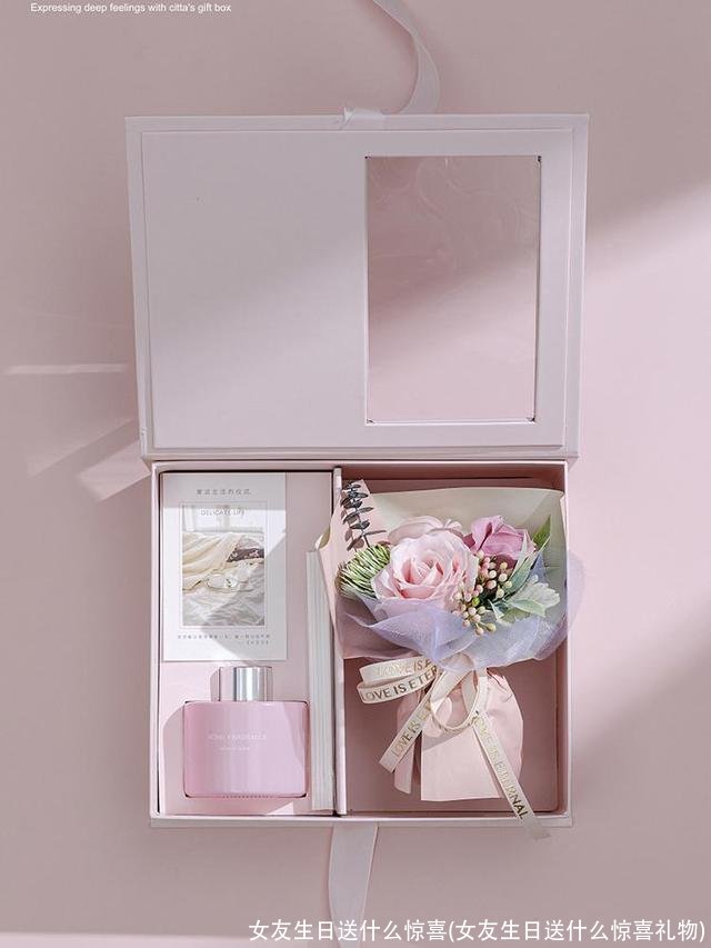 女友生日送什么惊喜(女友生日送什么惊喜礼物)