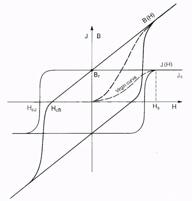内禀(内禀增长率)