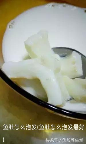 鱼肚怎么泡发(鱼肚怎么泡发最好)