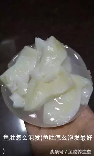 鱼肚怎么泡发(鱼肚怎么泡发最好)