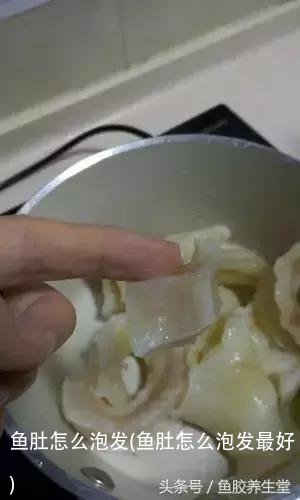 鱼肚怎么泡发(鱼肚怎么泡发最好)