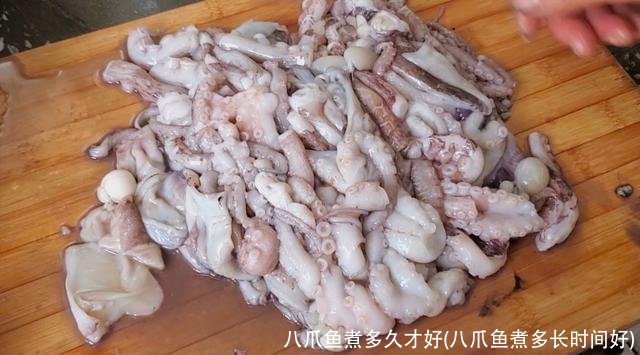 八爪鱼煮多久才好(八爪鱼煮多长时间好)