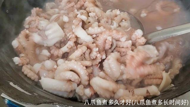 八爪鱼煮多久才好(八爪鱼煮多长时间好)