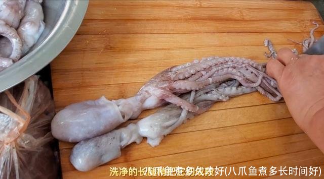 八爪鱼煮多久才好(八爪鱼煮多长时间好)