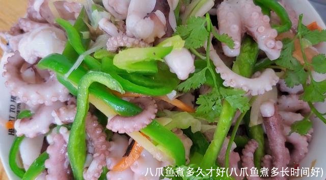 八爪鱼煮多久才好(八爪鱼煮多长时间好)