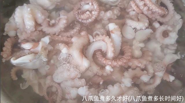 八爪鱼煮多久才好(八爪鱼煮多长时间好)