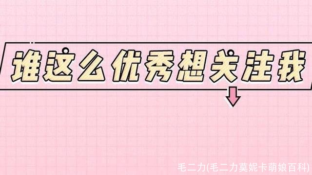 毛二力(毛二力莫妮卡萌娘百科)