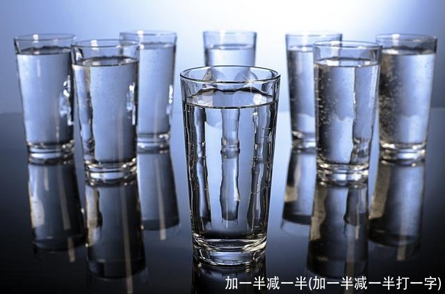 加一半减一半(加一半减一半打一字)