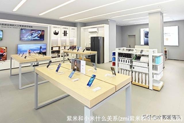 紫米和小米什么关系(zmi紫米和小米什么关系)