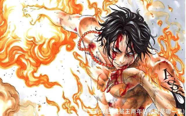 海贼王两年后(海贼王两年后重聚是哪一集)