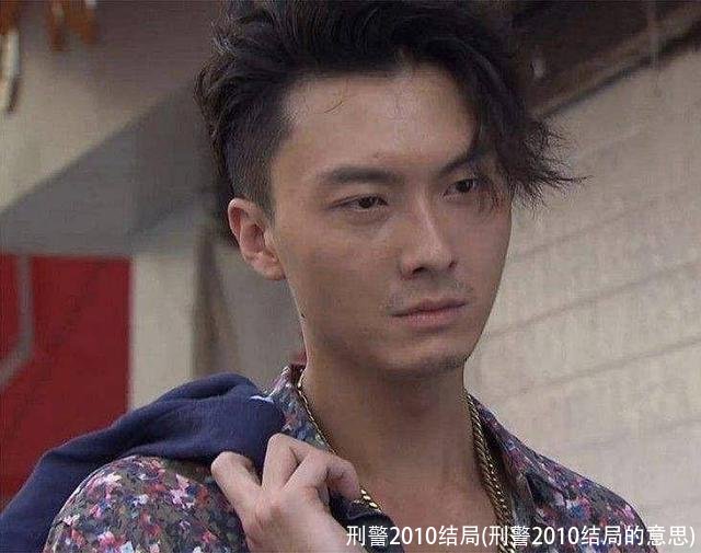 刑警2010结局(刑警2010结局的意思)