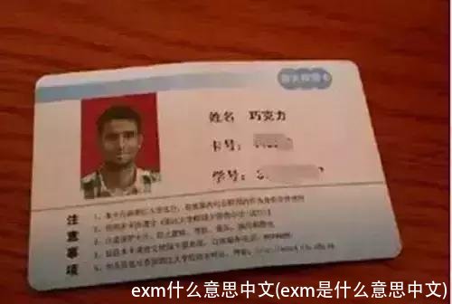 exm什么意思中文(exm是什么意思中文)