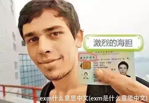 exm什么意思中文(exm是什么意思中文)