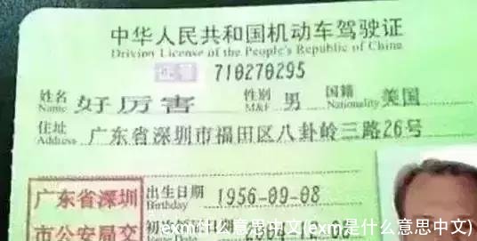 exm什么意思中文(exm是什么意思中文)