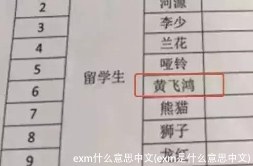 exm什么意思中文(exm是什么意思中文)
