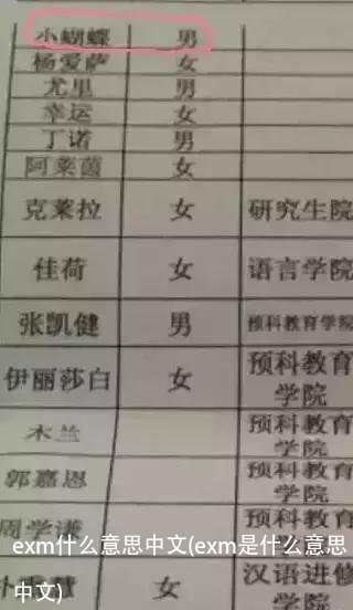 exm什么意思中文(exm是什么意思中文)