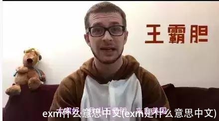 exm什么意思中文(exm是什么意思中文)