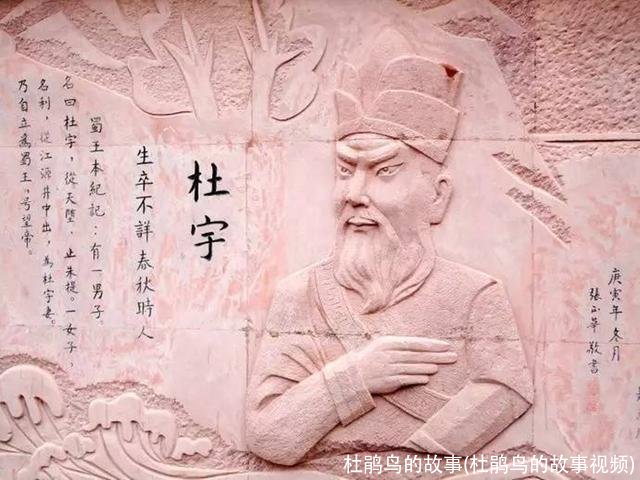 杜鹃鸟的故事(杜鹃鸟的故事视频)