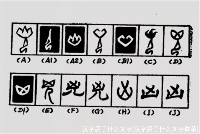 汉字属于什么文字(汉字属于什么文字体系)