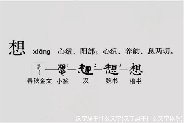 汉字属于什么文字(汉字属于什么文字体系)