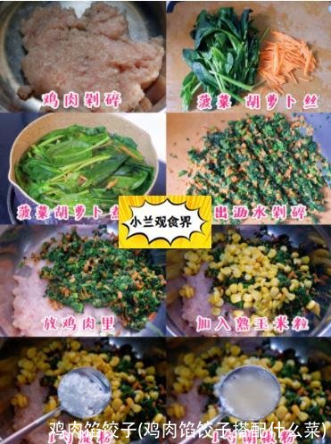 鸡肉馅饺子(鸡肉馅饺子搭配什么菜)