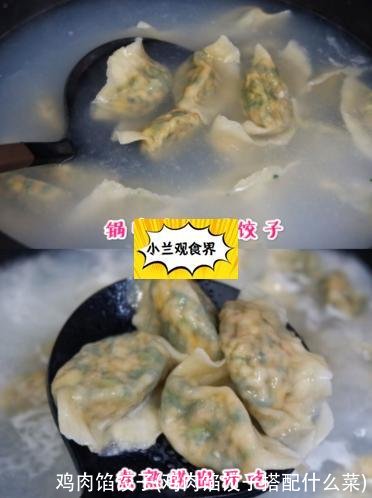 鸡肉馅饺子(鸡肉馅饺子搭配什么菜)