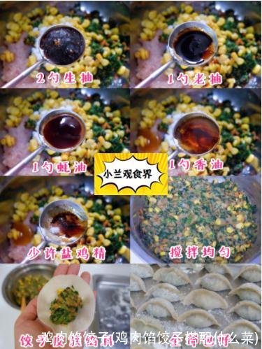 鸡肉馅饺子(鸡肉馅饺子搭配什么菜)