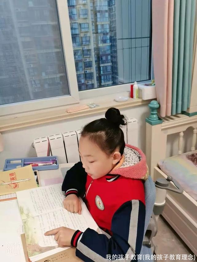 我的孩子教育(我的孩子教育理念)