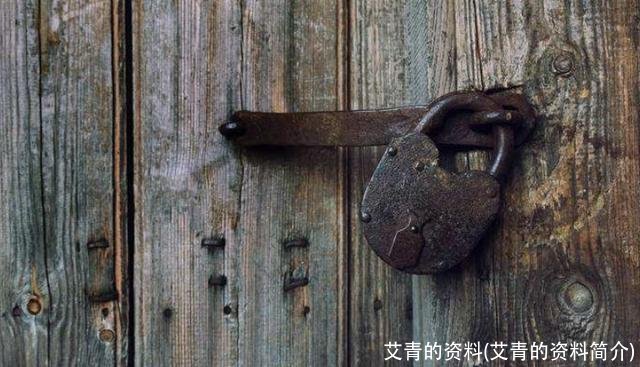 艾青的资料(艾青的资料简介)