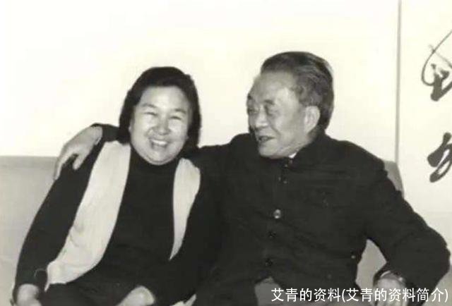 艾青的资料(艾青的资料简介)