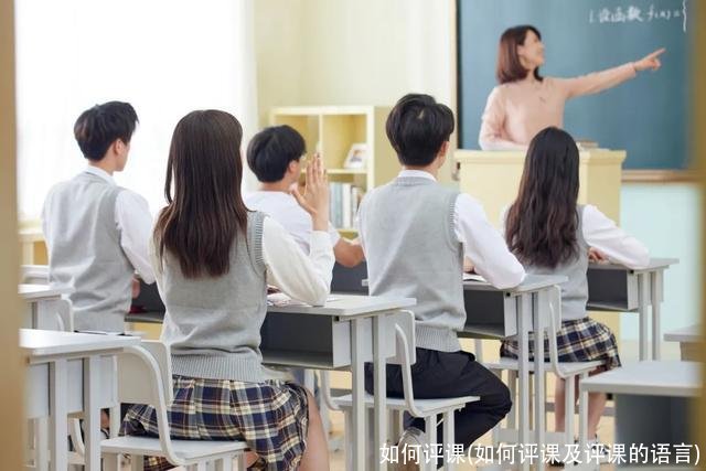 如何评课(如何评课及评课的语言)