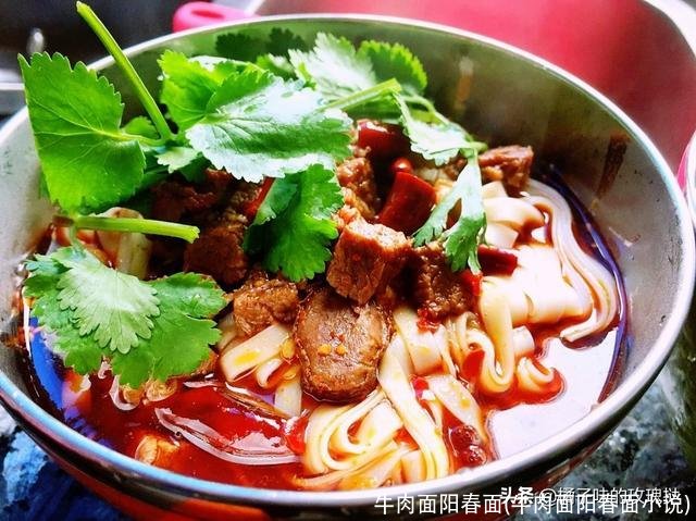 牛肉面阳春面(牛肉面阳春面小说)